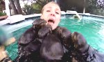 Lustiges Video : Attackiert von Otterbabies