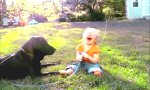 Funny Video : Baby, Hund und Gartenschlauch