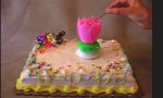 Lustiges Video : Geburtstagskerze