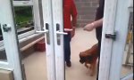 Funny Video - Gelernte Hilflosigkeit