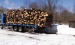 Lustiges Video : Holz abladen