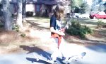 Shredding & Skating