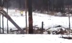 Lustiges Video - Baum fällen in USA