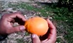 So schält man eine Orange
