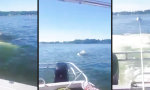 Lustiges Video : Boot-Rettungsboot