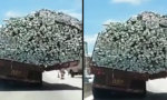 Lustiges Video - Etwas überladen
