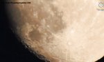 Movie : Holy Mother of Zooming