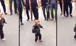 Funny Video : Anführer hat sich affig