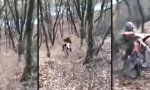 Movie : Dirtbike im Wald einparken