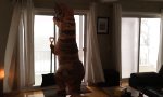 Lustiges Video - T-Rex hat es schwer im Leben