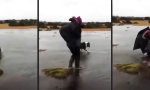 Funny Video : Feuchtes Gassigehen