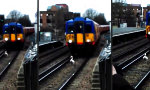Lustiges Video - Schwan hält Londoner Zugverkehr auf