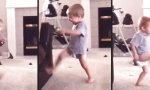 Lustiges Video : Ninja!