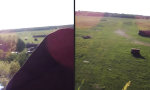 Lustiges Video - Geballter Optimismus im Korb