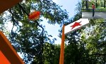 Movie : Augmented Super Mario im Central Park
