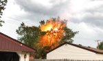 Funny Video : Feuerbaum