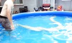 Lustiges Video : Der mit dem Python schwimmt