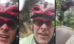 Funny Video - Bussard mag keine Radfahrer