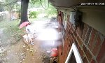 Eichen sollst du weichen