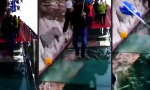 Lustiges Video : Der Troll im chinesischen Ingenieur