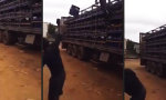 Funny Video - Gaskartuschen verladen Like A Boss
