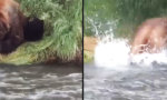 Funny Video - Geduld zahlt sich aus