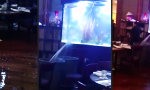 Lustiges Video : Ordentlich Druck auf Restaurant-Aquarium
