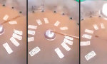 Funny Video - Mäuse-Roulette