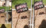 Lustiges Video - Nimm dich vor dem Kampfhund in acht!