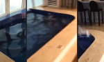 Funny Video : Hochhaus im Sturm - Penthouse-Pool