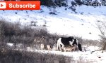 Ist es der Geist der Indianer?
