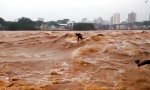 Funny Video : Im reißenden Hochwasser surfen