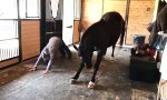 Movie : Yoga mit dem Gaul