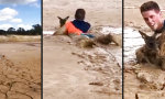 Funny Video - Känguru-Baby aus dem Schlamm retten