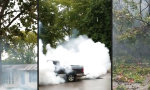 Movie : Baum fällen im Burnout-Style
