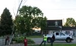 Funny Video - Heute zeigen wir es dem Baum