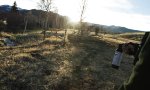 Movie : Turbobär schaut vorbei