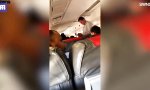 Lustiges Video : Falsch abgebogen