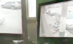 Movie : Sneaky Escape