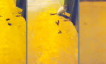 Funny Video : Wenn zwei streiten, schaut der Dritte dumm zu