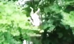 Movie : Sprungkraft Multiplikatoren