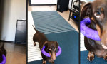 Funny Video : Äh... ich könnte Hilfe gebrauchen