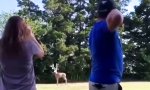 Lustiges Video : Zielsicher und originell