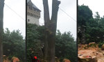 Movie : Die Geburt eines Holzfäller-Klons