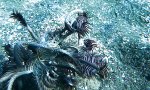 Movie : Wenn die Natur wieder mal nen Zug zuviel nimmt