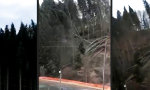 Movie : Laues Lüftchen hinterm Haus