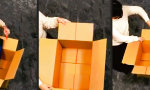 Movie : Was nicht passt, wird passend gemacht