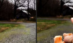 Funny Video : Blowjob und nen Donut