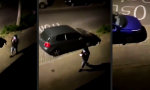 Lustiges Video : Karma von seiner Mudda