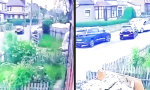 Funny Video - Meisterdieb mit Nerven aus Stahl